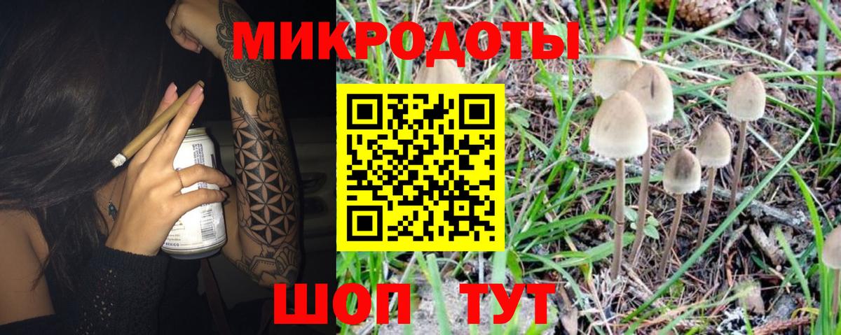 Галлюциногенные грибы GOLDEN TEACHER Воскресенск